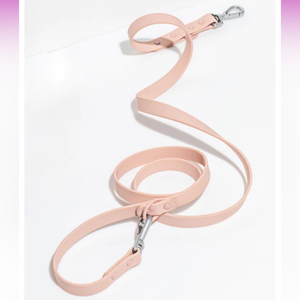 Wild One Small Blush Leash